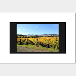 Autumn in the vineyard, Coal River Valley, Tasmania Posters and Art